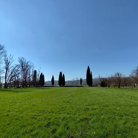 Da Schio - Il Cedro By World *